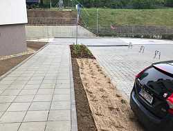 Výsadba zeleně Holandská čtvrť - Olomouc