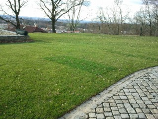 Zahrada Velká Bystřice